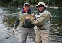 Fly-fishing Photo of Brown trout shared by Antonio Lynch – Fly dreamers 