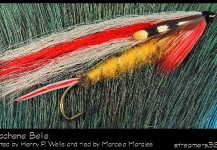 Darren MacEachern 's Fly-tying for tyee salmon - Photo | Fly dreamers 