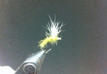 Fly-tying Picture by Jay Rock 