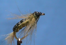 Jim Misiura 's Fly-tying for Brown trout - Photo – Fly dreamers 