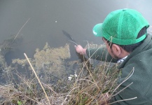  Trucha arcoiris – Excelente Situación de Pesca con Mosca – Por Rafael Macias