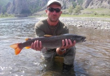 Fly-fishing Picture of Taimen shared by Enzo Ferrara – Fly dreamers