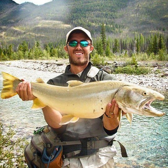 Bull trout fly fishing
