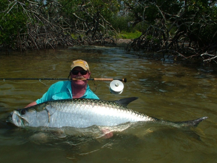 A would be world record?
My 87 1/2" x 41" fly caught Tarpon 