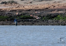  Foto de Situación de Pesca con Mosca por Walter Ruiz – Fly dreamers