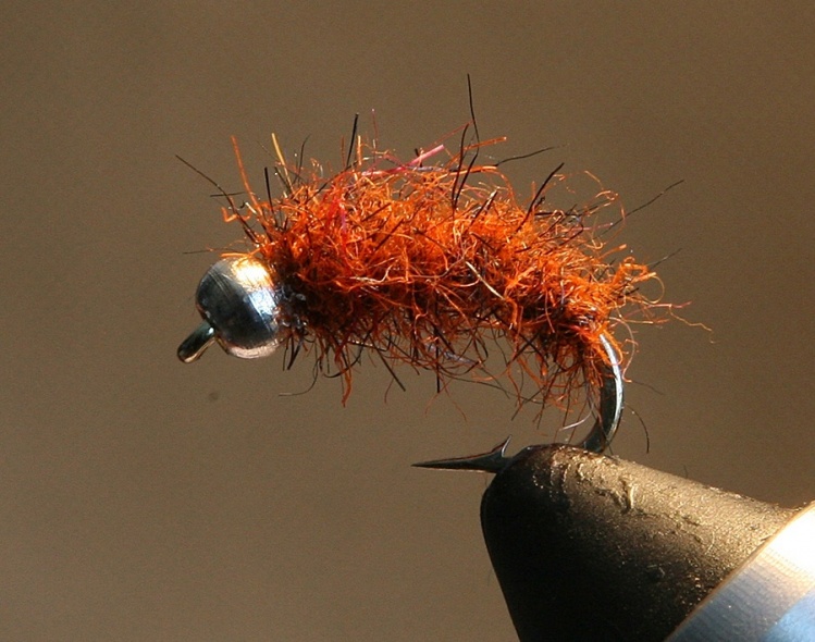 Popular color for Amur grayling - "rotten carrot". 