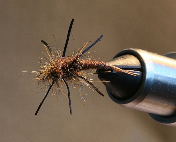 Imitation of a giant stonefly nymph