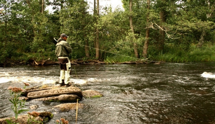 flyfishing on the river Tidan, Sweden