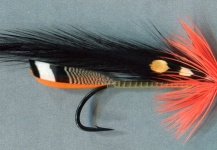 Fly for Landlocked Salmon - Image shared by Mike Boyer – Fly dreamers