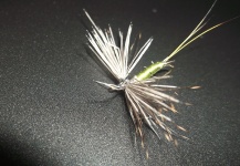 Fly-tying for Rainbow trout - Picture shared by Jan Wagner – Fly dreamers