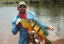 Fly-fishing Picture of Peacock Bass shared by Kid Ocelos – Fly dreamers