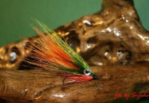 Snjezana Bratic 's Good Fly-tying Photo – Fly dreamers 