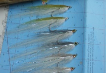 Fly for Bluefish - Tailor - Shad - Photo shared by Bob Veverka – Fly dreamers 