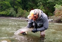 Fly-fishing Photo of Brown trout shared by Alex Habibeh – Fly dreamers 