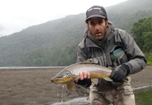 Fly-fishing Picture of Brown trout shared by Alex Habibeh – Fly dreamers