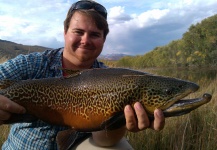 Fly-fishing Picture of Tiger Trout shared by Shane Ritter – Fly dreamers
