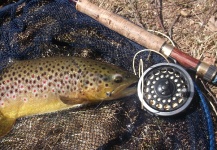 Jan Wagner 's Fly-fishing Photo of a Brown trout – Fly dreamers 