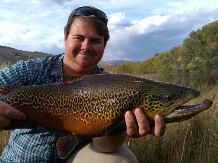 My hog 23.5" 5lbs Tiger trout, Nevada!.