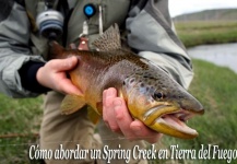 Como abordar un Spring Creek en Tierra del Fuego