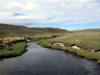 Fly fishing picture