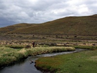 Fly fishing picture