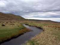 Fly fishing picture