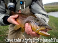 Fly fishing picture