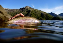 Fly-fishing Photo by Alex Habibeh – Fly dreamers 