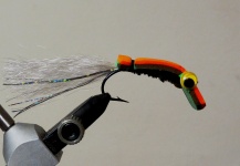 Carlos Margineda 's Fly-tying for Wolf Fish - Photo – Fly dreamers 