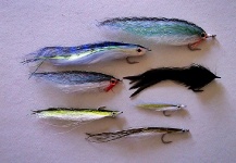 Jack Denny 's Fly-tying for Striper - Image – Fly dreamers 