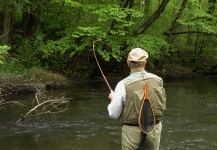Fly-fishing Situation Picture shared by Michael Csmereka – Fly dreamers