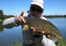MICH BARBUS 's Fly-fishing Photo of a Barbel – Fly dreamers 