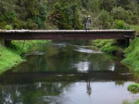 Fly fishing picture