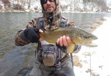 Fly-fishing Photo of Brown trout shared by Michael Arnold – Fly dreamers 