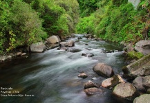 Fly Fishing Osorno