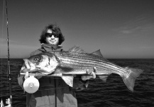 Fly-fishing Photo of Striped Bass shared by Taylor Brown – Fly dreamers 