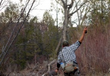 Nice Fly-fishing Situation of Rainbow trout - Photo shared by Johnathon Spens – Fly dreamers 