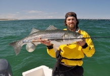 Taylor Brown 's Fly-fishing Image of a Striped Bass – Fly dreamers 