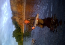 Spey springer