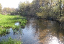 "Spring Creeks and Water Meadows"