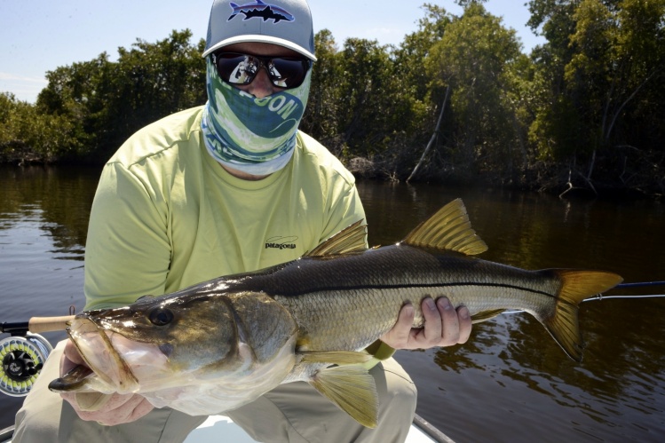 Fly fishing for snook
