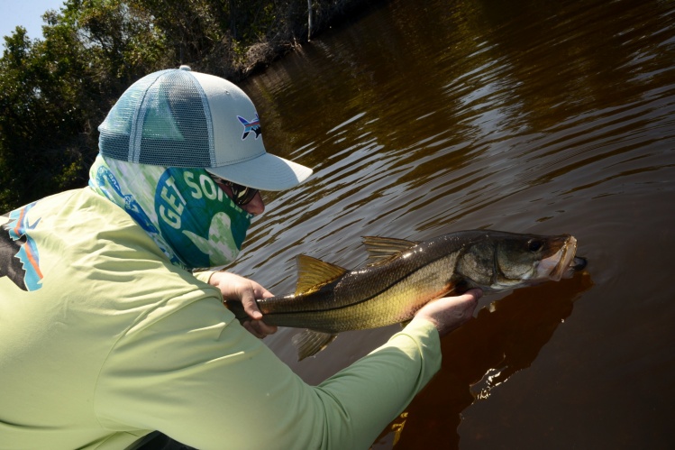 Snook fly fishing
