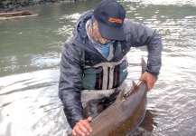 kings chinook, riopetrohue chile 