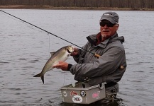 Jack Denny 's Fly-fishing Photo of a Shad – Fly dreamers 