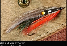 Fly-tying for landlocked atlantic salmon - Pic shared by Mike Boyer – Fly dreamers 