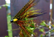 The Bloody Olive Dabbler