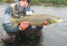  Foto de Pesca con Mosca de Salmo trutta compartida por Dominic De Bruyn | Fly dreamers