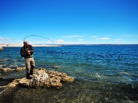 Foto de pesca con mosca