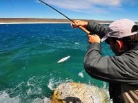 Foto de pesca con mosca