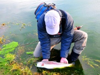 Foto de pesca con mosca